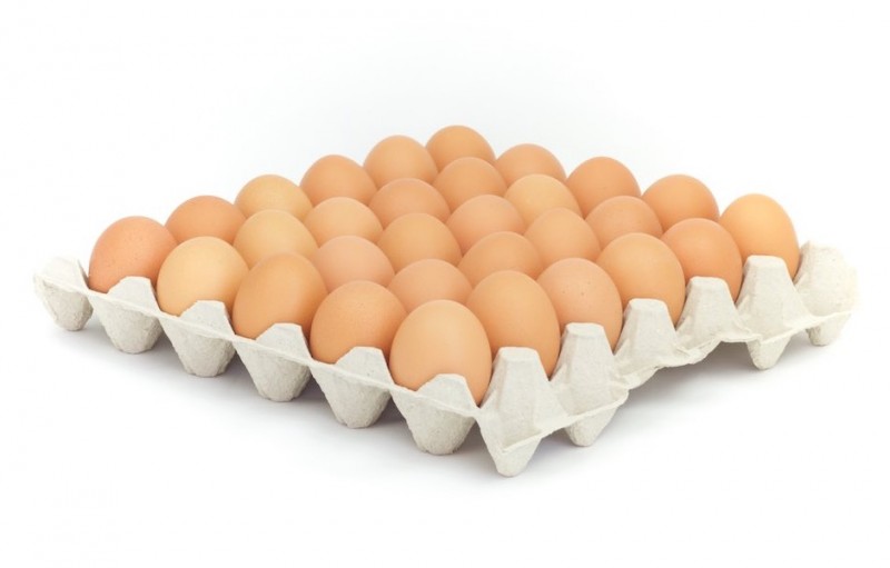 Vajcia L 30 ks na preložke
